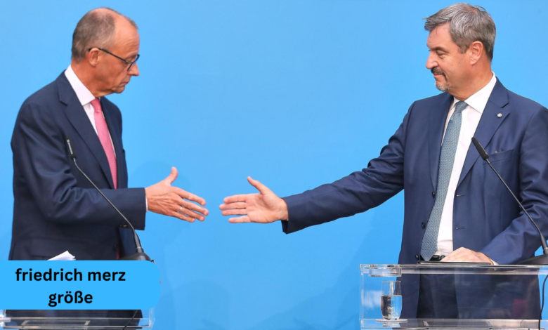 friedrich merz größe
